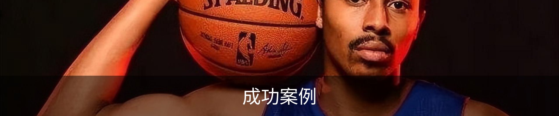 成功案例