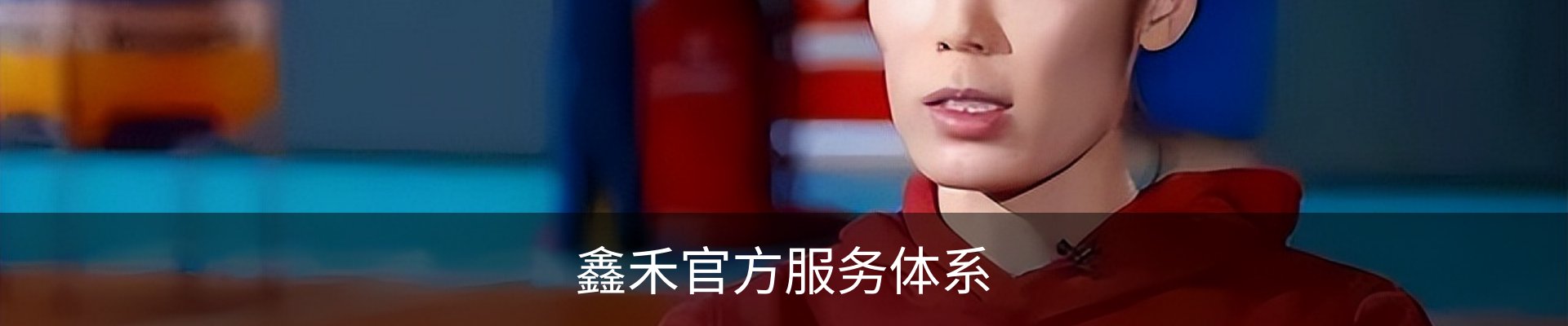 鑫禾官方服务体系